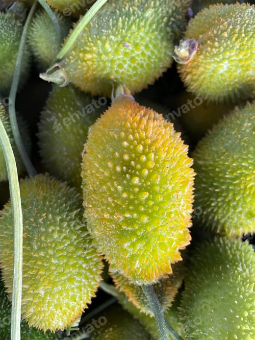Preview: Vertical closeup of spiny gourds on a stack