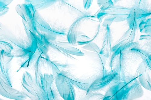 Preview: seamless background with blue lightweight and soft feathers isolated on white