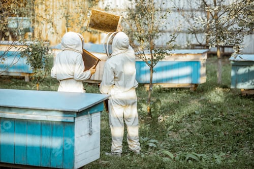 Preview: Beekeepers on the apiary
