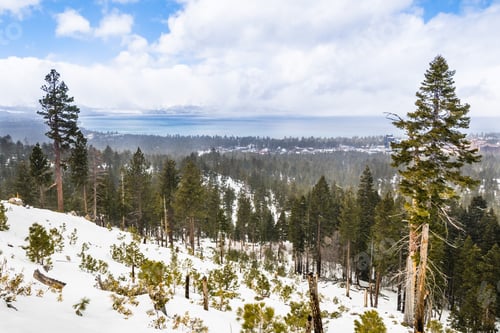 Preview: Cloudy spring day in Sierra Mountains