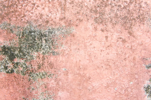 Preview: texture old dirty red cement background