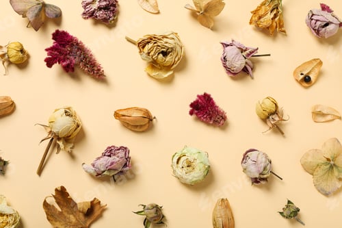 Preview: Dried flower buds on beige background, top view