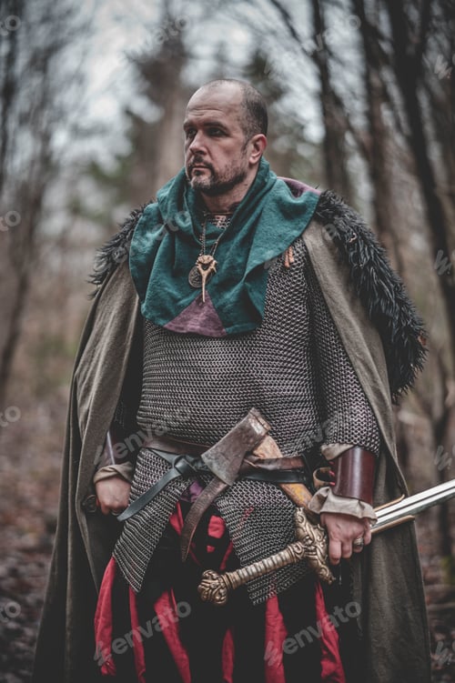 Preview: Man dressed in authentic medieval armor standing in the middle of forest
