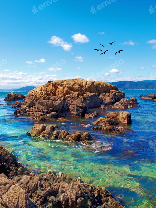 Preview: A photo of the coast near Wellington, New Zealand