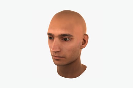 Preview: Frontal portrait of male head alert expression