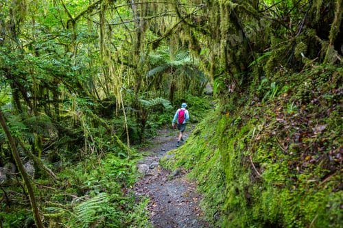 Preview: Tramping