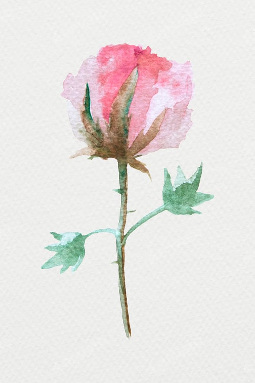 Preview: Colorful watercolor natural flower illustration
