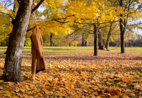 Preview: A coat is hanging on tree branch in autumn park. On a blurry background girl is sitting under a tree