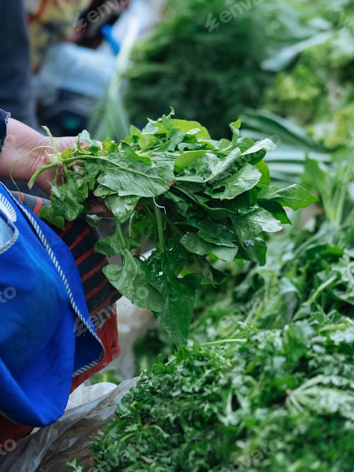 Visualização: Legumes verdes frescos no mercado público