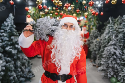 Preview: Santa claus costume holding christmas tree preparing holiday celebration