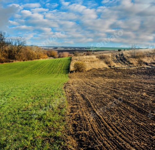Preview: plowed field and field of winter wheat in hilly terrain