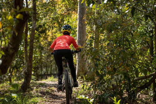 Preview: Mountain biking in spring forest