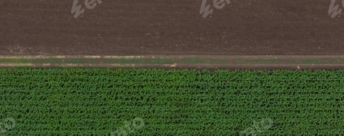 Preview: Aerial top view of a different agriculture fields in countryside on a spring day.