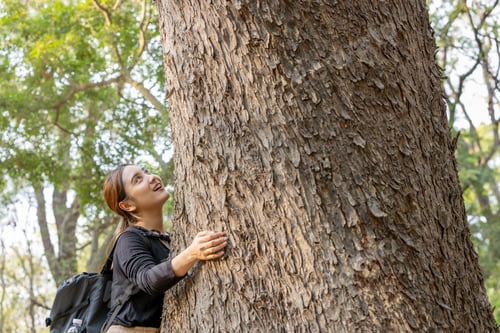 Preview: Woman hugging a big tree in the outdoor forest, Ecology and nature