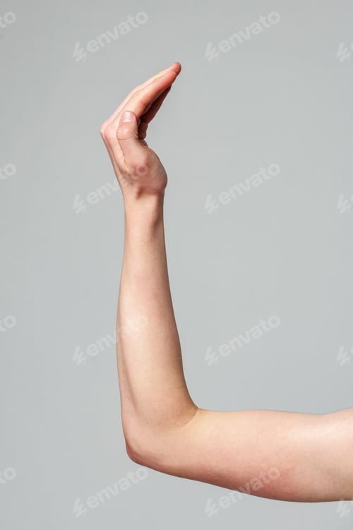 Preview: Human Hand Raised Against a Neutral Gray Background in a Studio Setting
