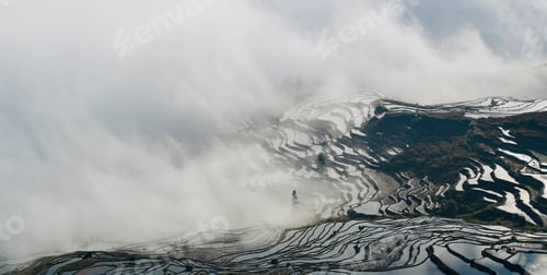 Preview: Terraced fields