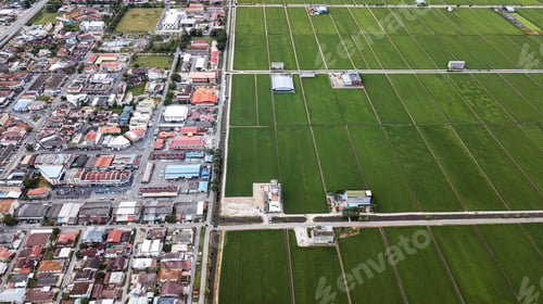 Preview: Aerial view of Green fields with paddy during planting season.