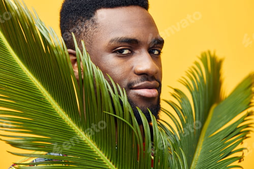 Preview: man tree tropical freelancer fun american happy black palm yellow african fashion stylish