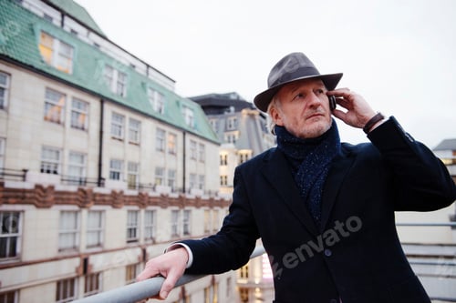 Visualização: Empresário falando no celular