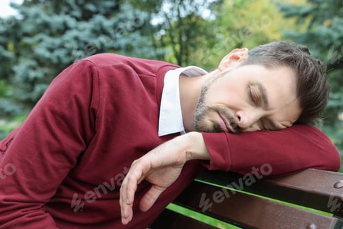 Preview: Tired man sleeping on bench in beautiful green park