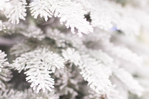 Preview: Christmas fir white tree background. Christmas background. An artificial tree. New year.