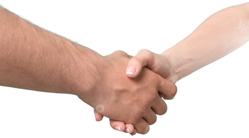 Preview: People engaging in a handshake to signify agreement or partnership in a professional setting