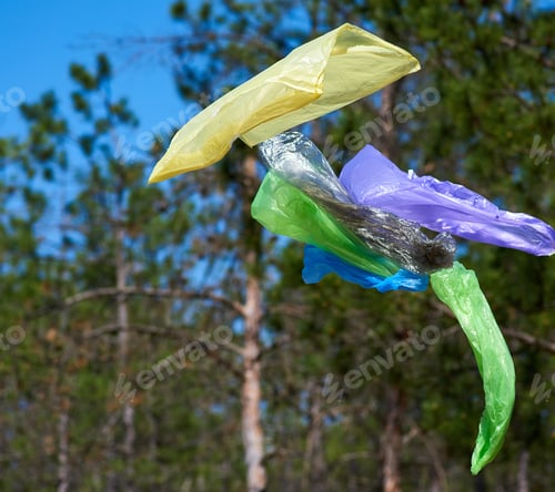 Preview: Empty garbage plastic bags fly in the forest