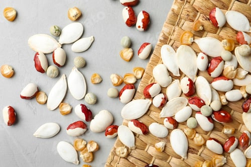 Preview: Mixed vegetable seeds on grey background, flat lay