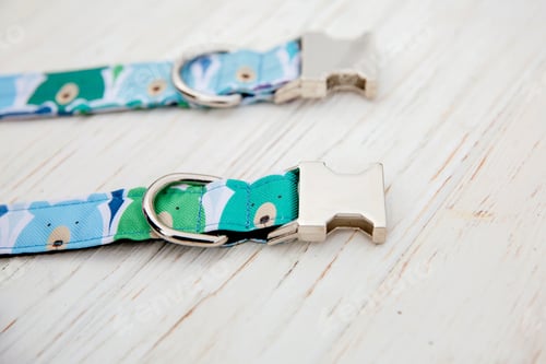 Preview: Dog Collar and Leash set. Pet Supplies and Walking Gear Collection