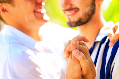 Preview: Gay couple together spending moments of happiness in green park