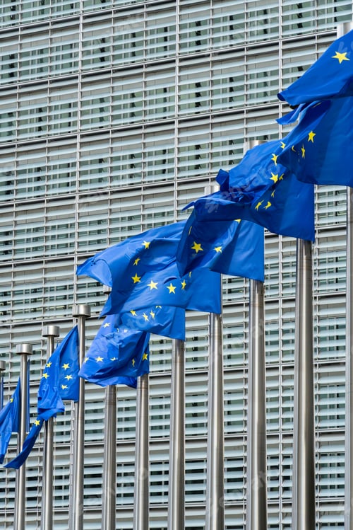 Preview: Row of European Union Blue Flags and European Commission Building in Brussels