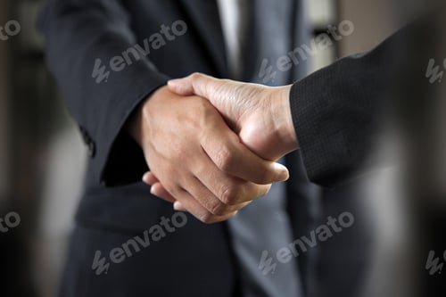 Preview: handshake, successful, congratulating, shaking