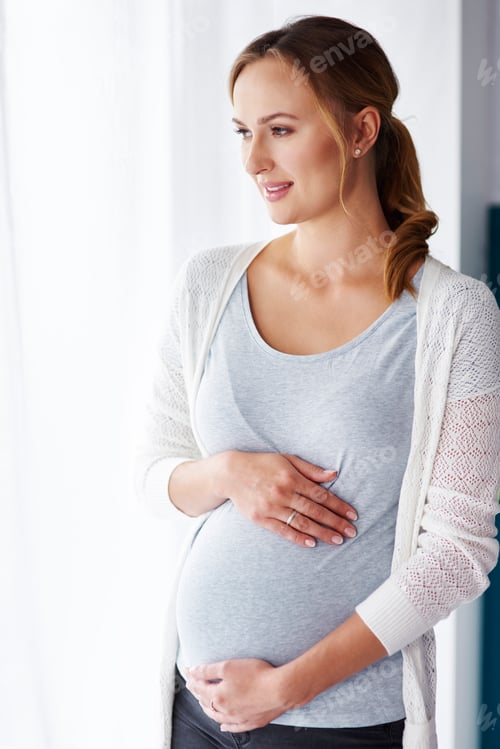 Preview: Affectionate pregnant woman looking through window