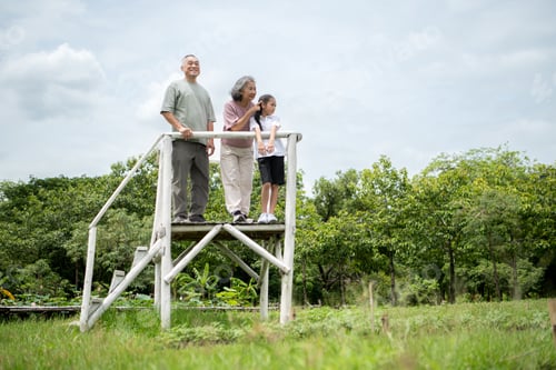 Preview: Happy Asian grandparents enjoying a picnic with their granddaughter in a green park