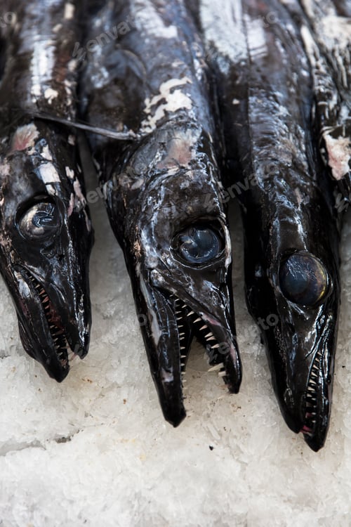 Preview: Espada fish on traditional fish market in Funchal at Madeira island, Portugal