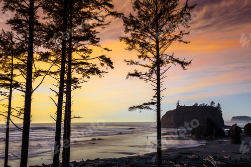 Preview: Sunset Through The Trees, Ruby Beach In Olympic National Park Washington