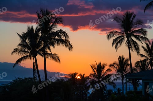 Preview: Tropical palm trees during island sunset