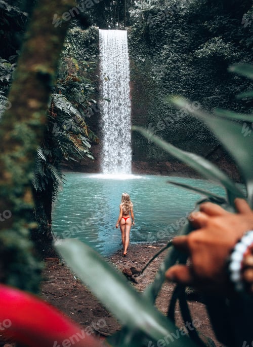 Preview: Paradise Found