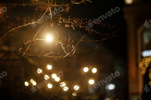 Preview: Stylish light bulbs and christmas lights on tree branches in town square in evening