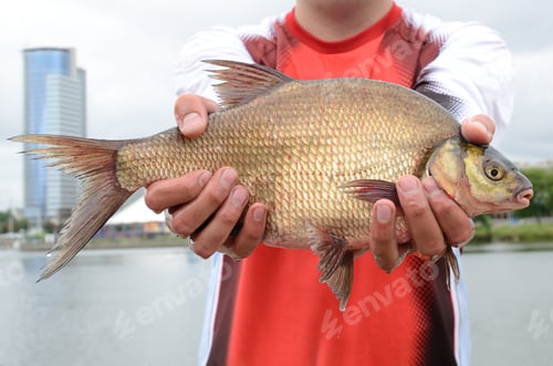 Preview: Fisherman with fish
