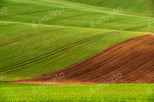 Preview: Detail of South Moravian field, Czech republic.