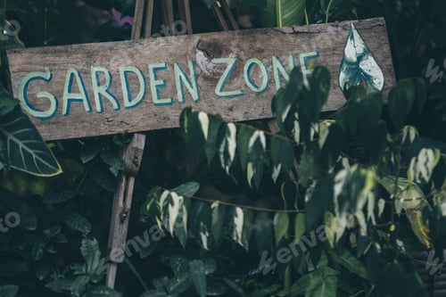 Preview: plant and flower in garden zone at coffee cafe, outdoor decoration with botanical plant