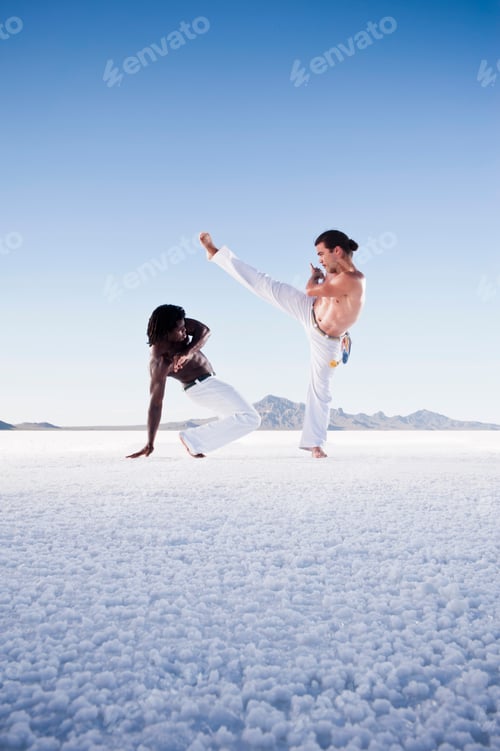 Preview: Martial artists practicing on a salt flat