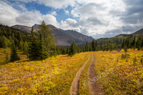 Preview: Autumn in Canada