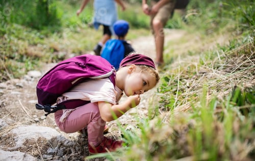 Preview: Portrait of small toddler girl outdoors in summer nature, exploring