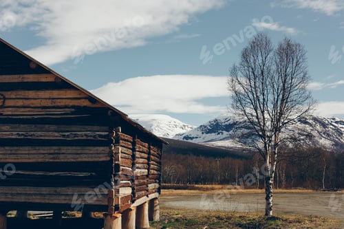 Preview: Norwegian landscapes with snow and trees