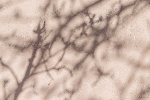 Preview: Hard tree branches shadows on light beige plastered concrete wall on summer day, natural background