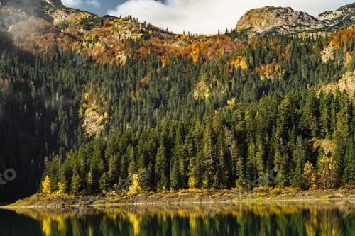 Preview: Autumn Black Lake, Durmitor National Park, Zabljak, Montenegro