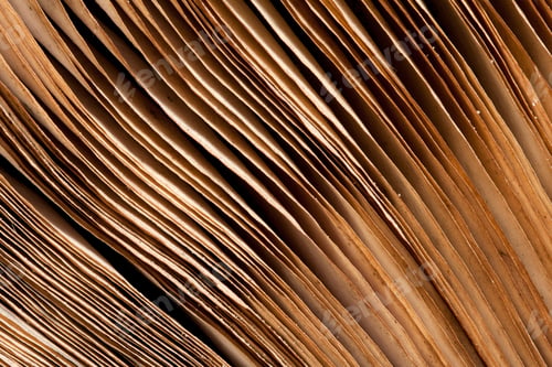 Preview: Pages of ancient book