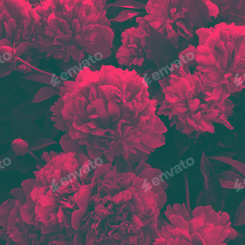 Preview: Flowers background. Duo tone